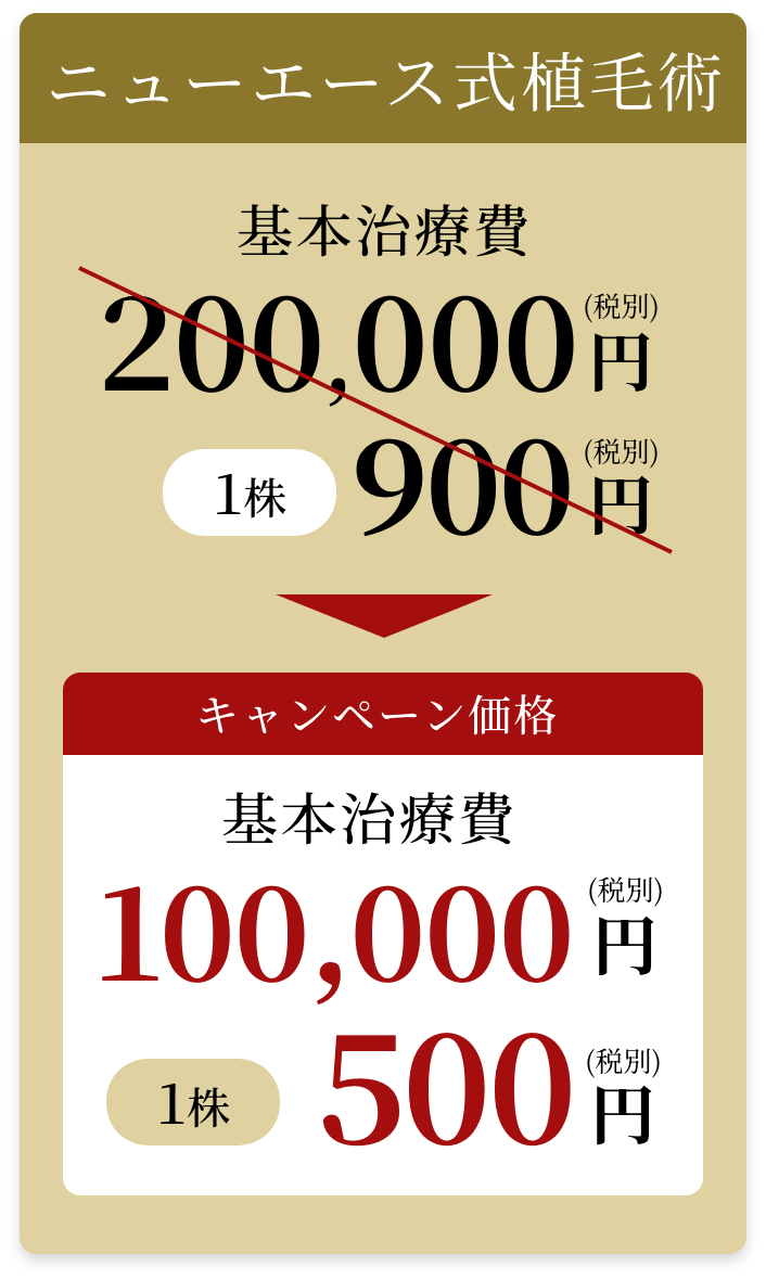 ニューエース式植毛術 基本治療費 100000円 1株500円 
